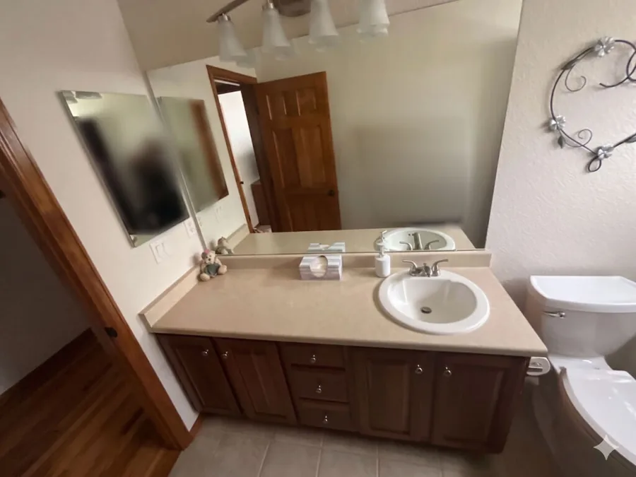 Bathroom before remodeling, showing the original vanity and countertop